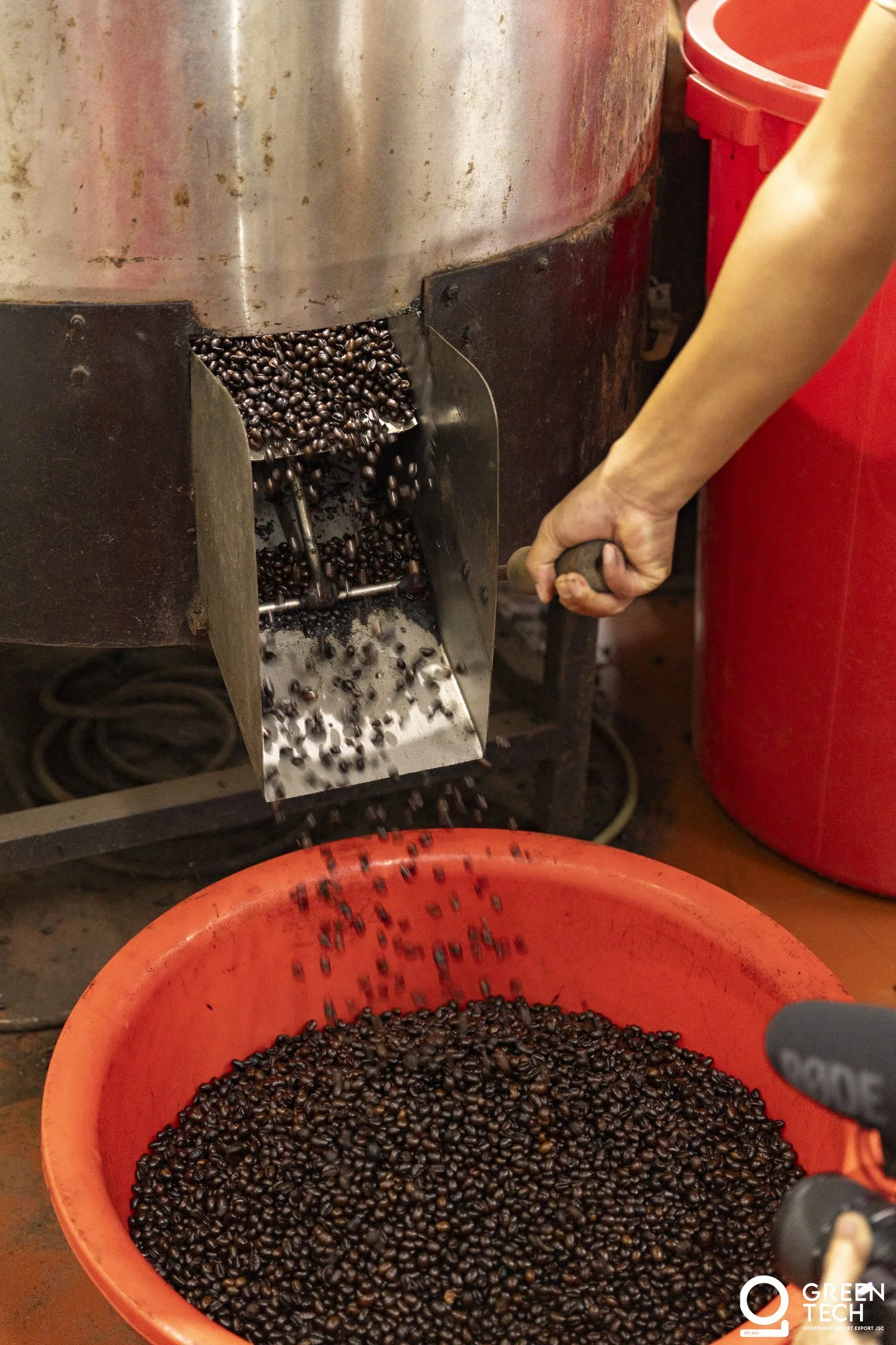 Coffee drying process in controlled conditions