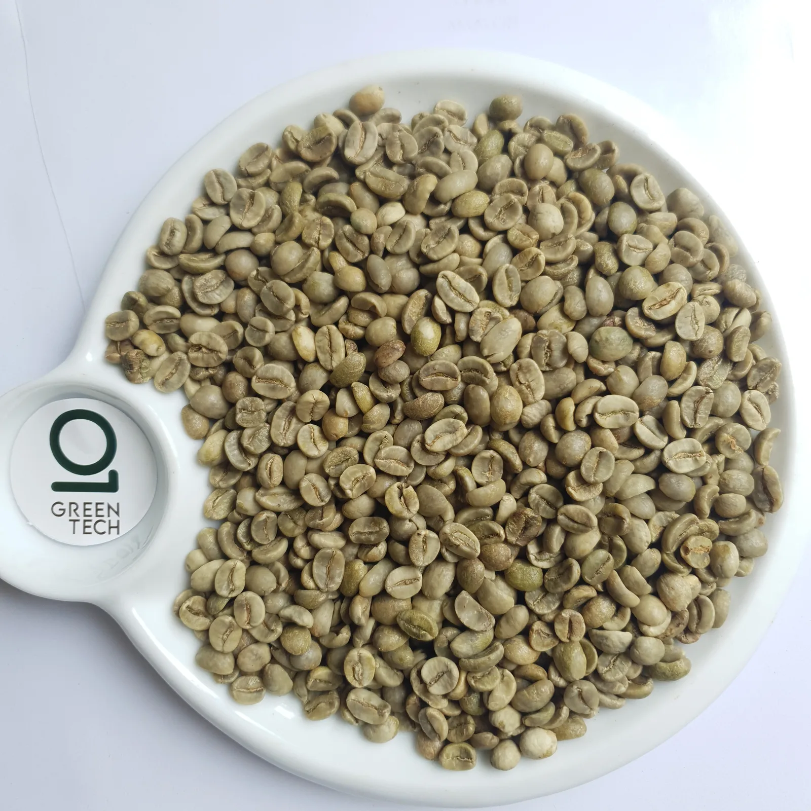 Arabica