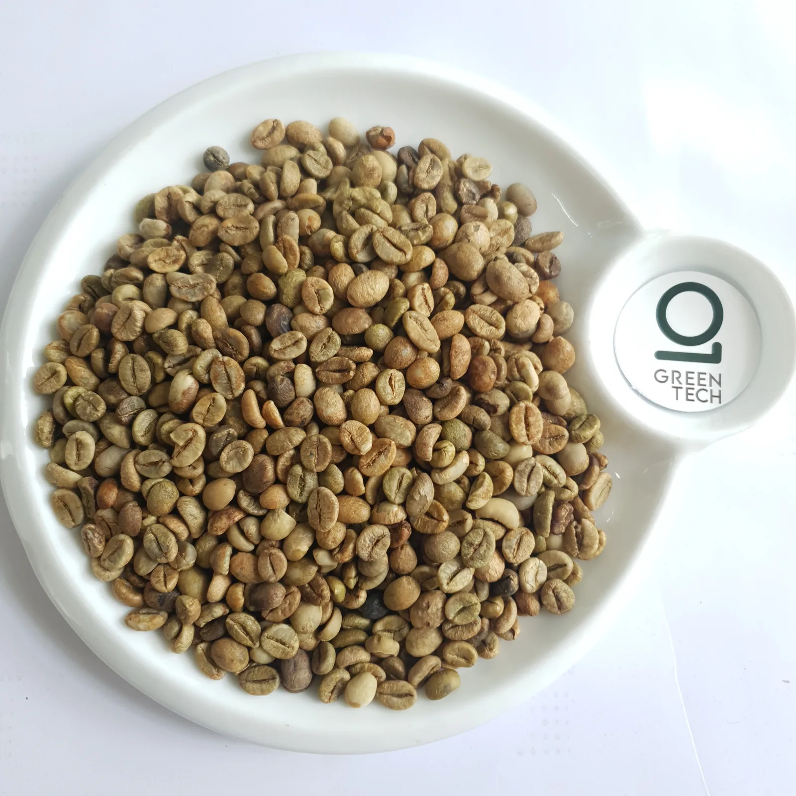 Robusta