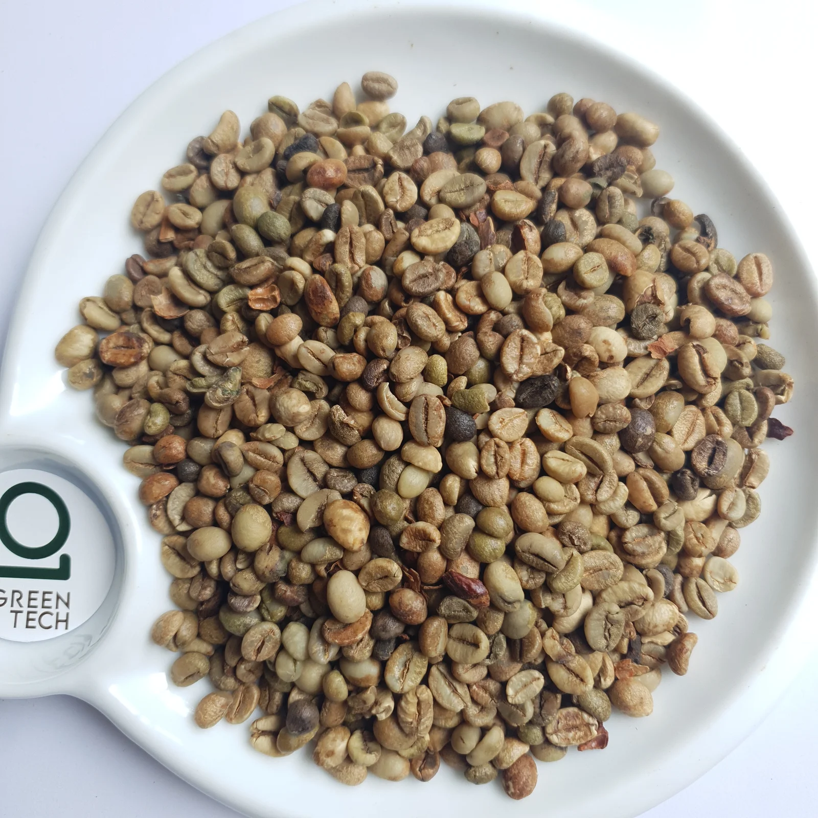 Robusta Grade 2 - Standard
